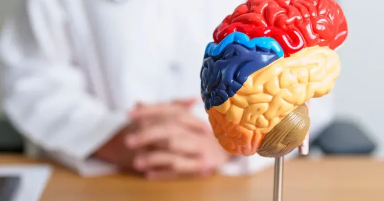 Səs vibrasiyaları Alzheimer xəstəliyinin inkişafını ləngidə bilər Araşdırma