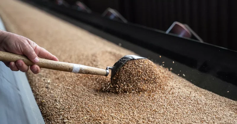 Россия передала Боливии 1 400 тонн зерна