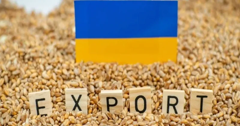 Sibiqa: 2025 ci ildə Ukraynaya məxsus 2 milyon tondan çox taxıl oğurlanıb