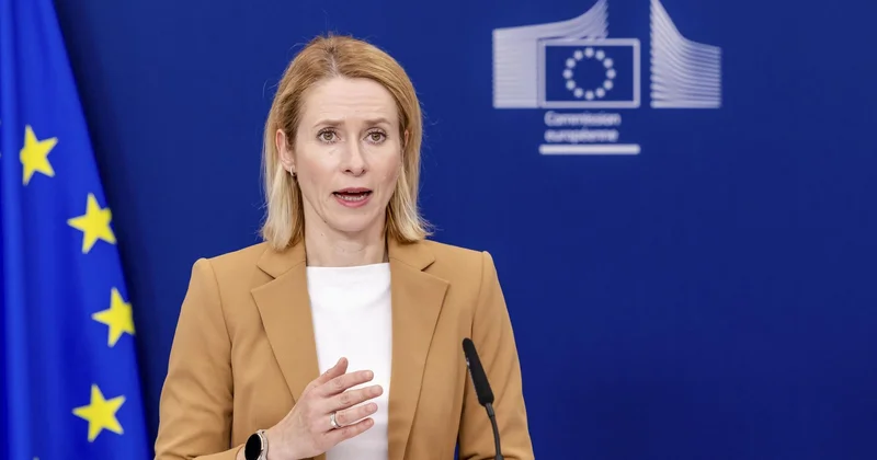 Kallasdan şok sözlər: İndi içmək vaxtıdır!