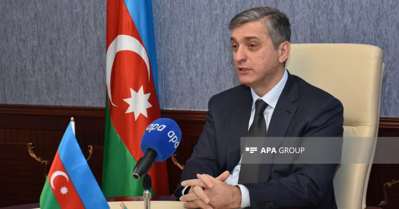 Vüqar Gülməmmədov: Yeni Strateji Plan Palatanın fəaliyyəti üçün əsas yol xəritəsi olacaq