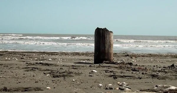 Dənizdən içməli su layihəsi Xəzəri quruda bilər?