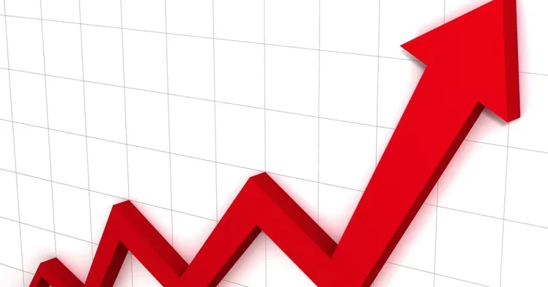 В Азербайджане общее число коммерческих организаций превысило 200 тысяч