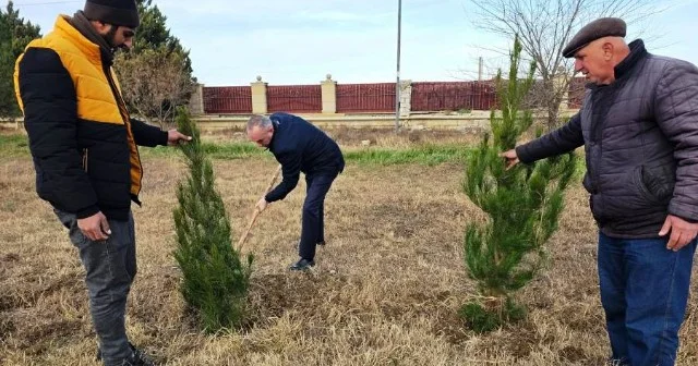 Goranboyda ağacəkmə aksiyası keçirildi FOTOLAR