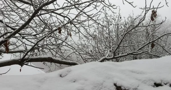 Rayonlara qar yağır Faktiki hava durumu açıqlanıb