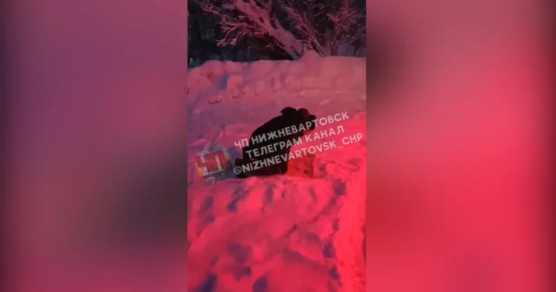 В России водитель не пускал пассажиров в автобус, пока не совершил намаз: ВИДЕО