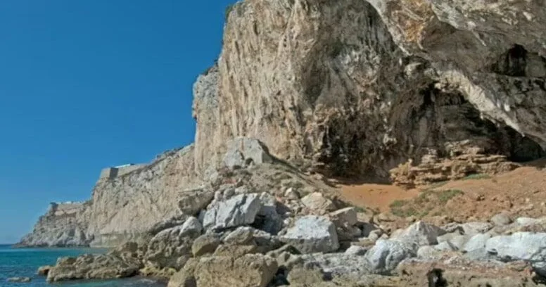 40 min illik sirr açıldı: Buz dövrünün qonağı laboratoriyada