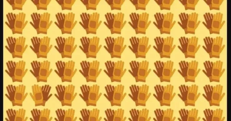 Sınaq TESTİ: 20 saniyəyə xüsusi bir cüt əlcək tapın