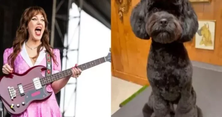 Məşhur müğənni iti ilə evləndi Toy FOTOLARI