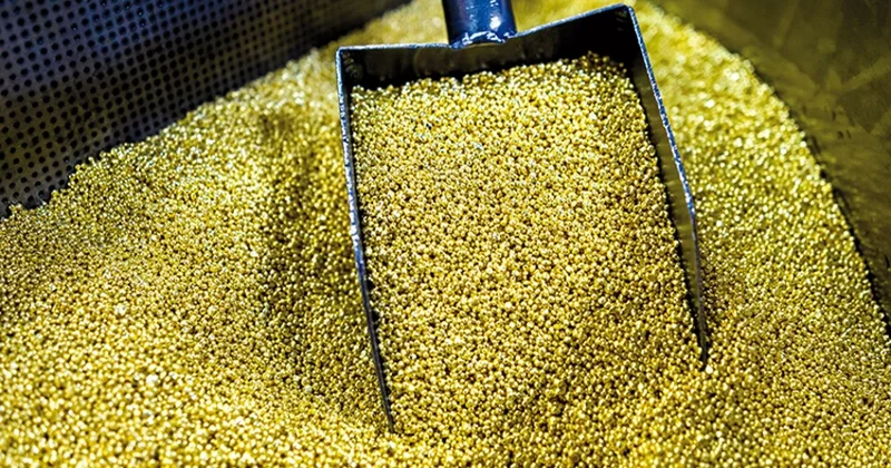 Anglo Asian Mining в 2025 году увеличила добычу золота в Азербайджане в 1,7 раза