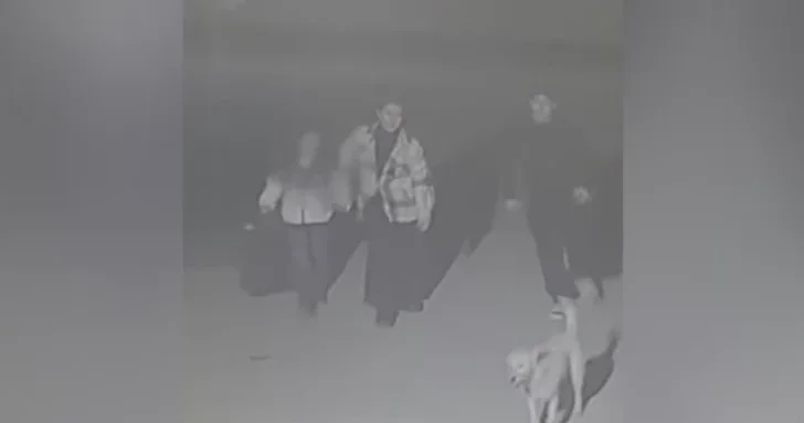 Шокирующий случай в Баку: мать бросила маленькую дочь ночью на улице и велела идти в приют
