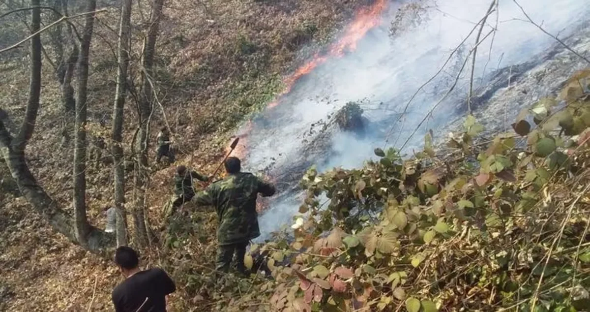 Пожар в горной местности в Гахском районе