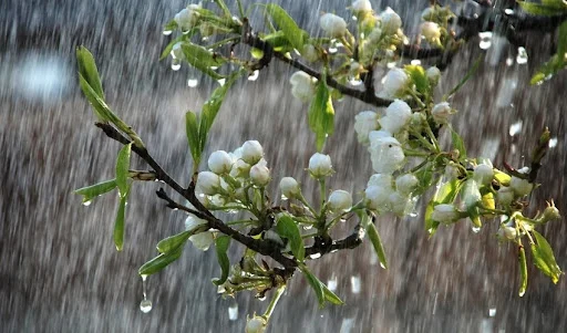 Hava yenidən pisləşəcək Leysan, dolu və qar yağacaq