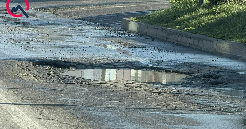 Avtobus zolağındakı çala Qəza riski yaradır Foto
