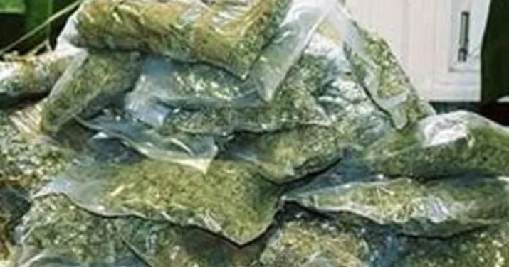 Qaçaqmalçılıq yolu ilə narkotik vasitələrin gətirilməsi: 44 fakt aşkarlandı