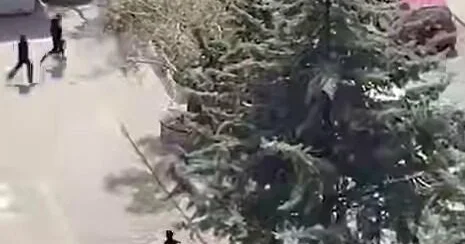 В Турции ввели запрет на освещение вооруженного нападения в школе в Кахраманмараше