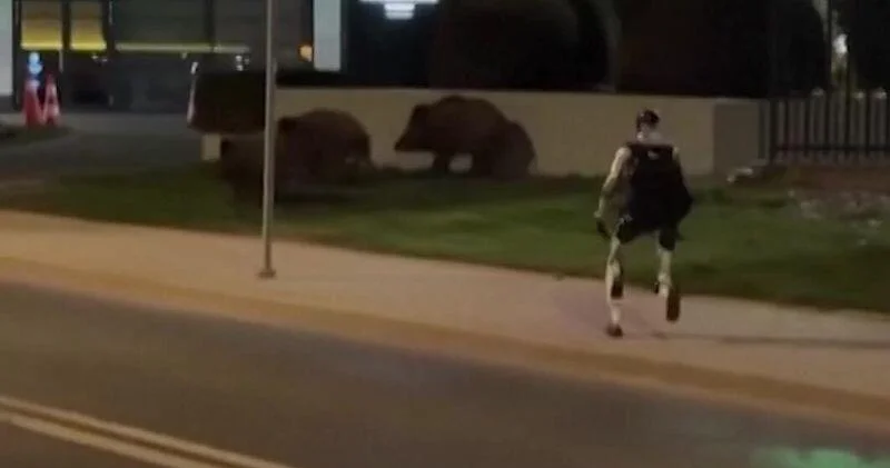 Человекоподобный робот стал звездой соцсетей ВИДЕО