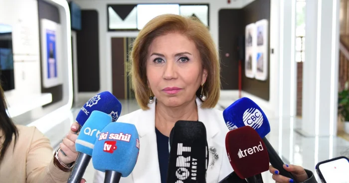 Bahar Muradova: Milli maraqları qorumaq lazımdır