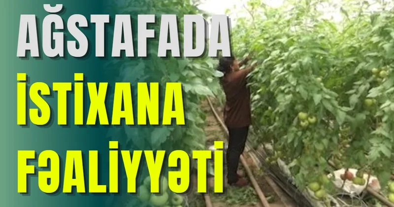 Ağstafada istixana fəaliyyəti genişləndirilir