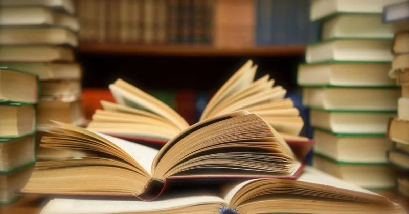 Elm və Təhsil Nazirliyi “İndiqo”ya 768 min ödəyəcək
