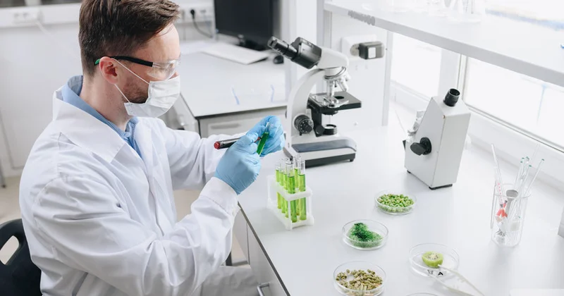 X5 Group salmonella hesabatından sonra Petelinka məhsullarını yoxlayır