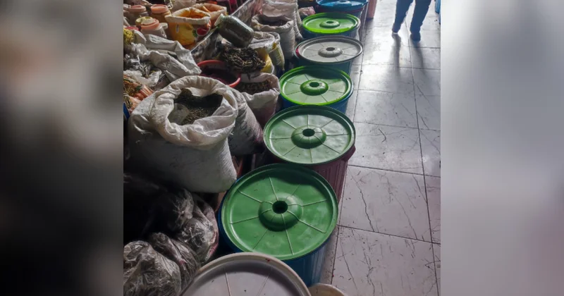 Bərdədə bazarda nöqsanlar aşkarlanıb