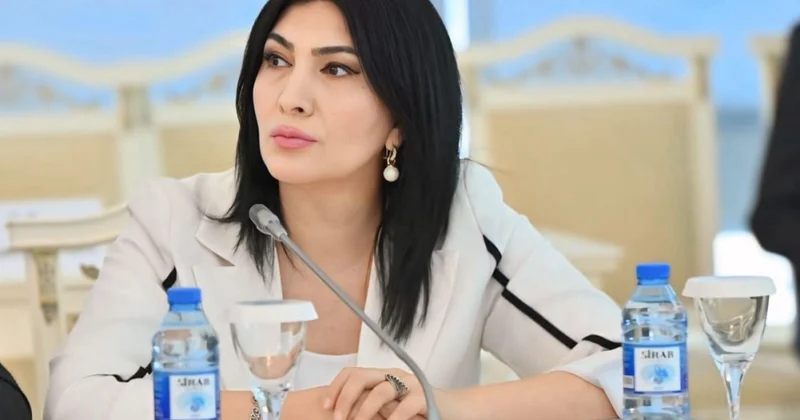 Prezident İlham Əliyevin Türküstandan yüksələn birlik mesajı gələcəyin yol xəritəsidir ŞƏRH