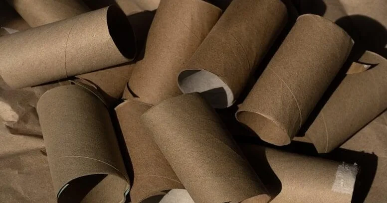 Atmağa tələsməyin: İstifadə olunmuş tualet kağızı rulonları xəzinə imiş