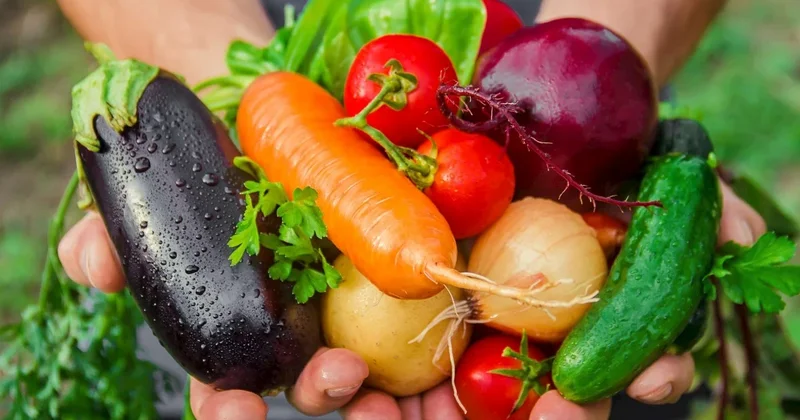 Təzyiqi anında salan tərəvəz açıqlandı