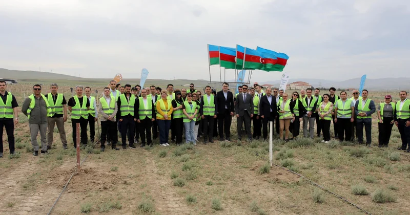 Ümummilli Lider Heydər Əliyevin 103 cü ildönümünə həsr olunmuş ağacəkmə aksiyası təşkil olunub