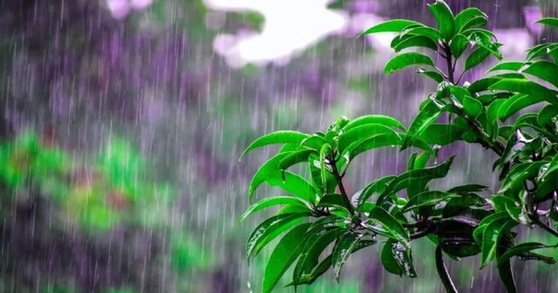Sabah bəzi yerlərdə hava yağıntılı olacaq