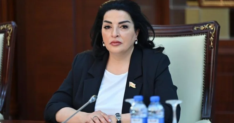Bu fərman sağlam ekoloji mühitin formalaşdırılması istiqamətində atılmış vacib addımdır Millət vəkili