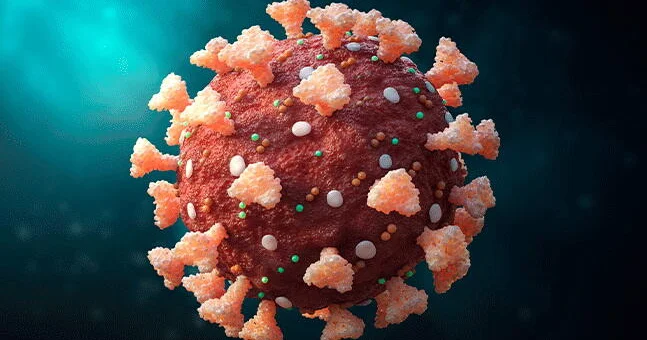 Bu ölkədə təhlükəli virus yayılır
