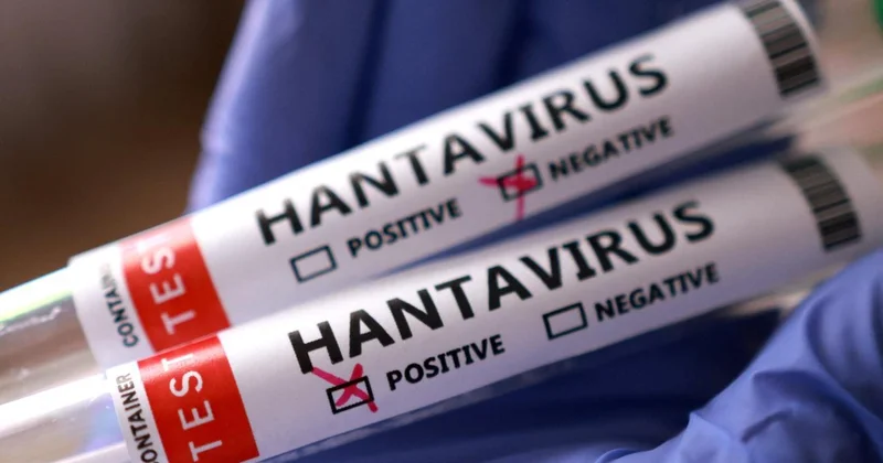 ÜST hantavirusun daha çox yayılması ilə bağlı xəbərdarlıq edib