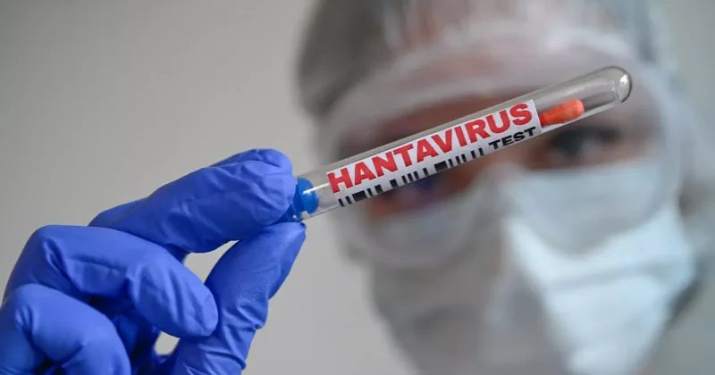 Граждане Австралии вернулись домой с хантавирусного лайнера MV Hondius