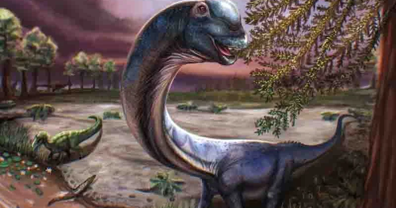Alimlər Tailandda tapılan sümüklərdən yeni nəhəng dinozavr növünü müəyyən ediblər