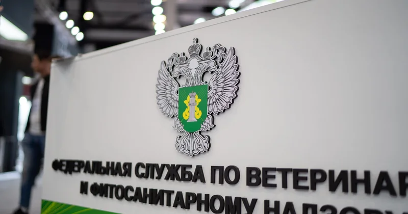 После отказа Пашиняна ехать на парад к Путину Россельхознадзор нашел новые нарушения в продуктах из Армении