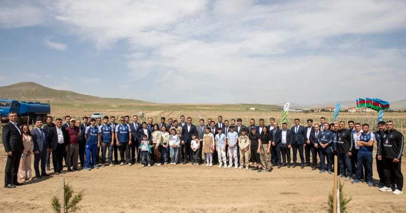 DSMF nin təşəbbüsü ilə Müşfiq qəsəbəsində 100 dən çox ağac əkilib