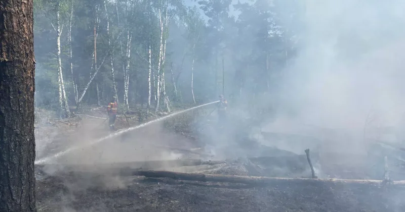 В Чернобыльской зоне отчуждения вновь зафиксированы лесные пожары из за БПЛА ФОТО