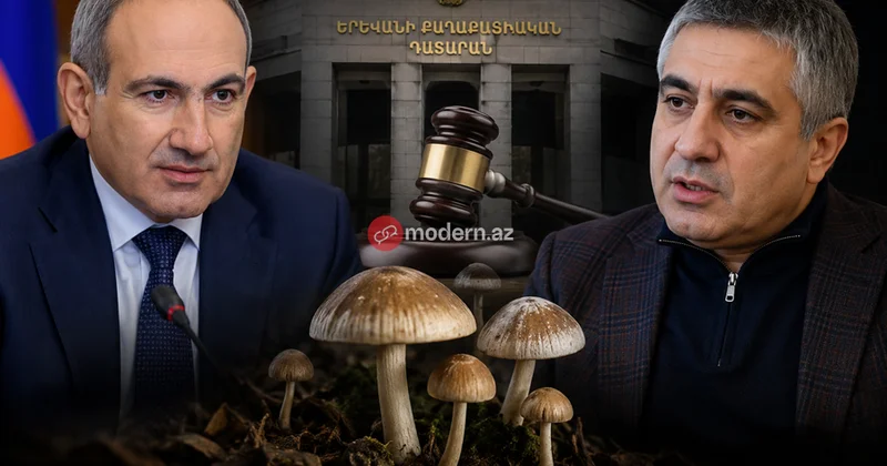 Paşinyan göbələk ittihamına görə rəqibini məhkəməyə verdi