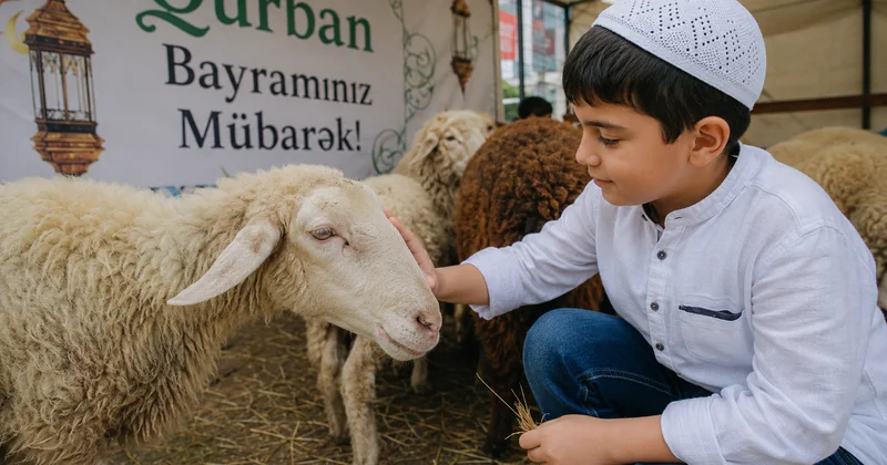 Uşaqlar Qurban bayramını qorxmadan necə qəbul etməlidir? ARAŞDIRMA