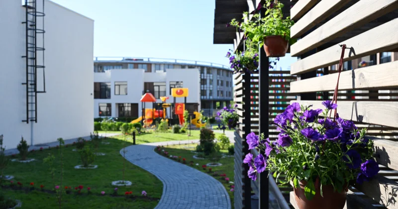Böyük Qayıdış davam edir: daha 5 ailə Zəngilan şəhərində məskunlaşdı