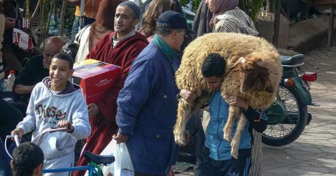 Bu ölkədə yenidən qurban kəsməyə icazə verildi FOTO