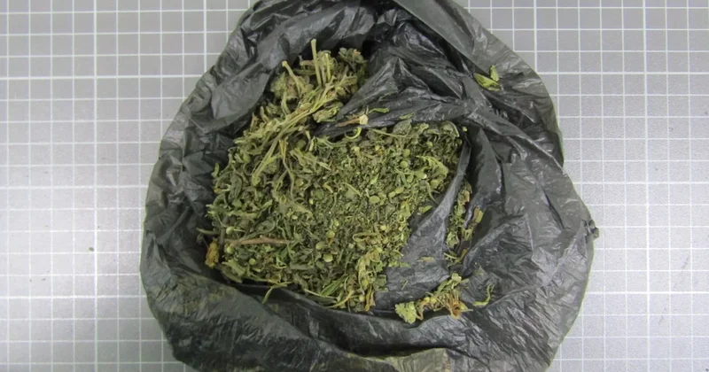 В Дагестане силовики пресекли доставку более полутонны марихуаны