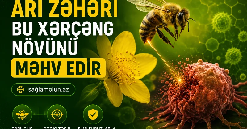 Arı zəhəri süd vəzi xərçəngini məhv edir Yeni elmi iddia