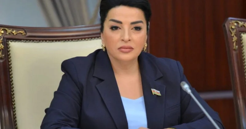 Tullantıların idarə olunması ilə bağlı yeni Fərman ekoloji təhlükəsizlik üçün strateji addımdır ŞƏRH