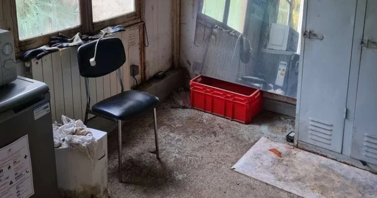 Makronun bağbanı tualetlə bağlı şikayətinə görə işdən çıxarıldı