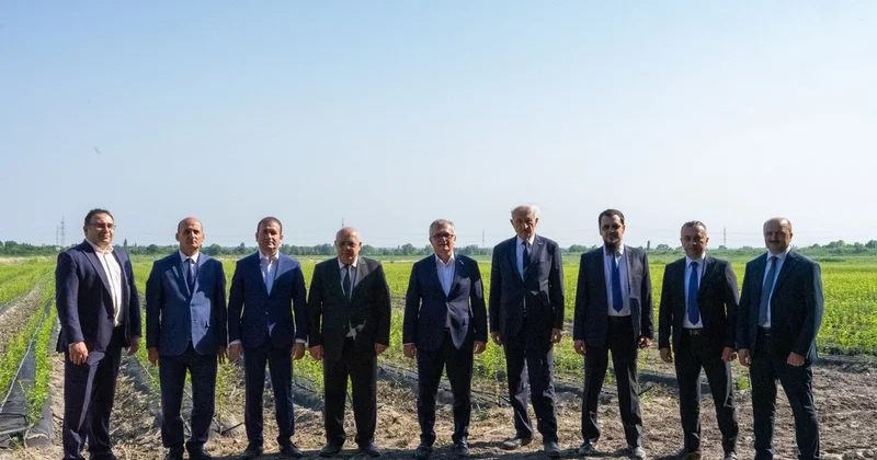 Qurtuluş Günündə gələcək naminə: Azərbaycan yeni aqrar əsasları necə qurur?