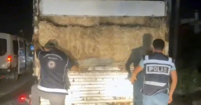 Yük maşınının ot bağlamalarından 31 qanunsuz miqrant aşkarlanıb