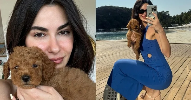 Nəsrindən ünvanına yazılan tənqidlərə cavab Foto